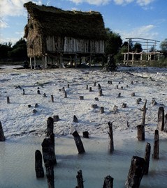 Prehistoric Pile Dwellings