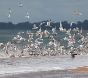 Bijagós Archipelago