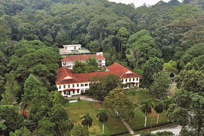 Forest Park Selangor