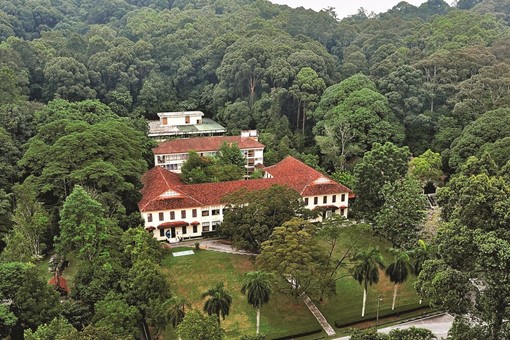 Forest Park Selangor