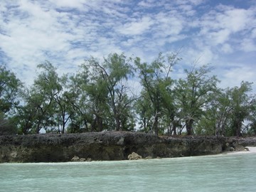 Aldabra Atoll