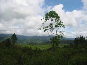 Río Plátano Biosphere