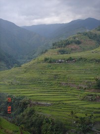 Rice Terraces of the Philippines