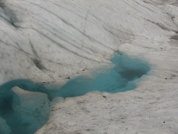 Glacier Bay / Kluane / Tatshenshini
